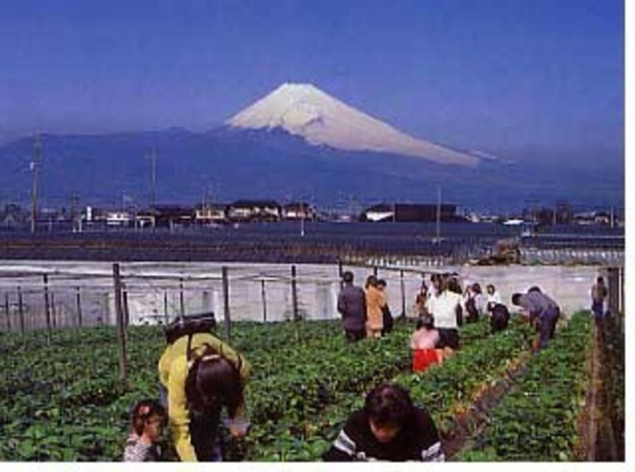 ゲストハウス+カフェわ　１日１組限定！ 築１００年の農家の古民家で宿泊体験、薪でお風呂沸かせます。焚き火もできます。 Kannami Exterior photo